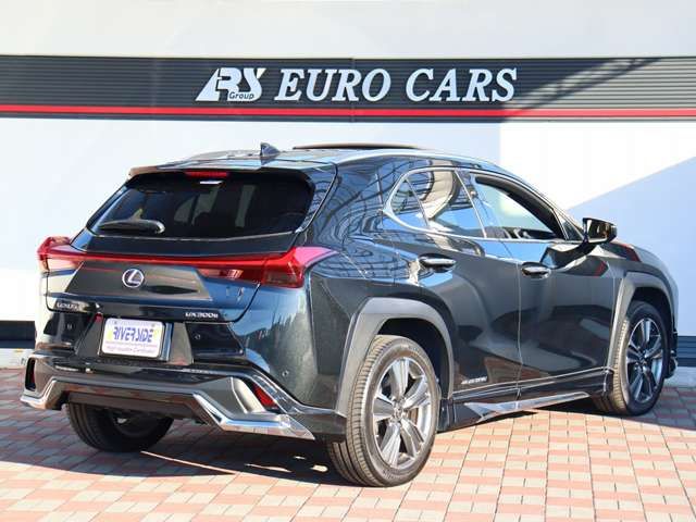 LEXUS UX300e