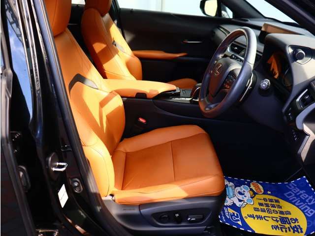 LEXUS UX300e