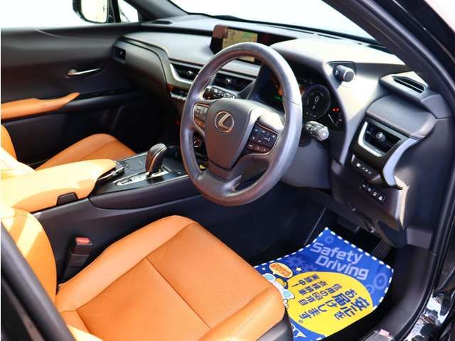 LEXUS UX300e