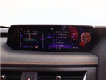LEXUS UX300e