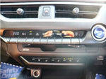 LEXUS UX300e