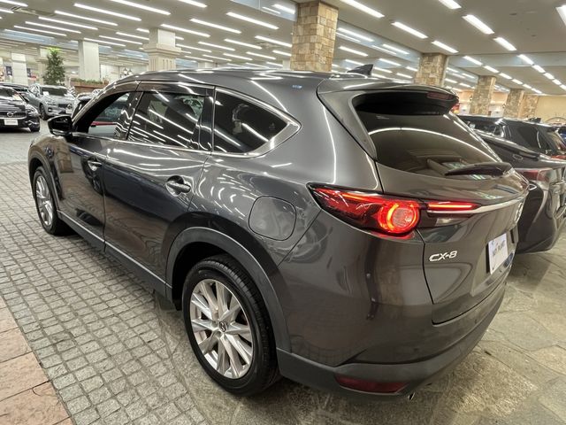 CX-8