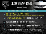 PEUGEOT 308SW