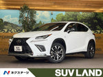 LEXUS NX300