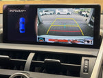 LEXUS NX300