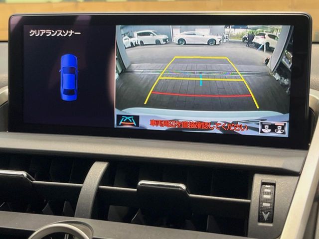 LEXUS NX300