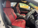 LEXUS NX300