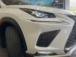 LEXUS NX300