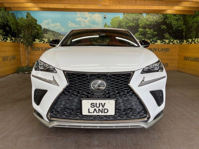 LEXUS NX300
