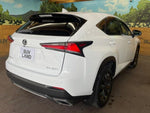 LEXUS NX300