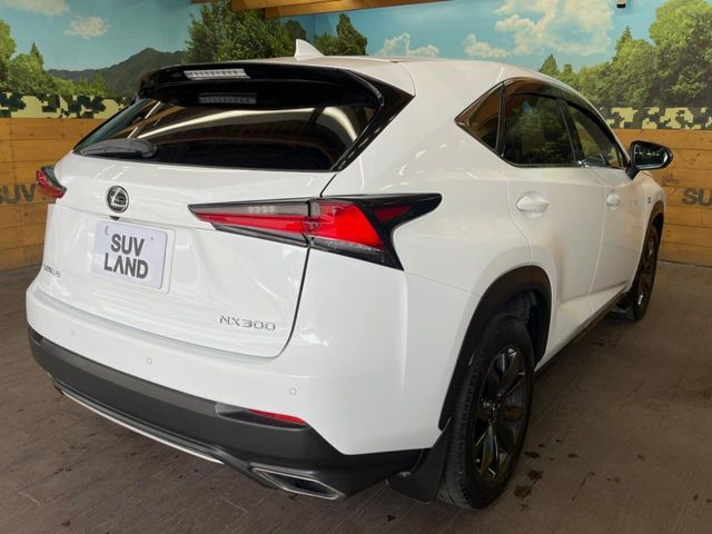 LEXUS NX300