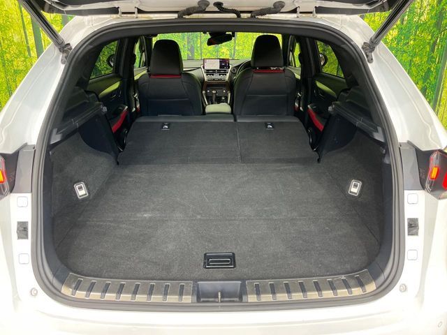 LEXUS NX300h AWD
