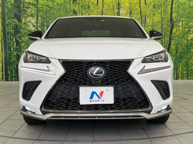LEXUS NX300h AWD