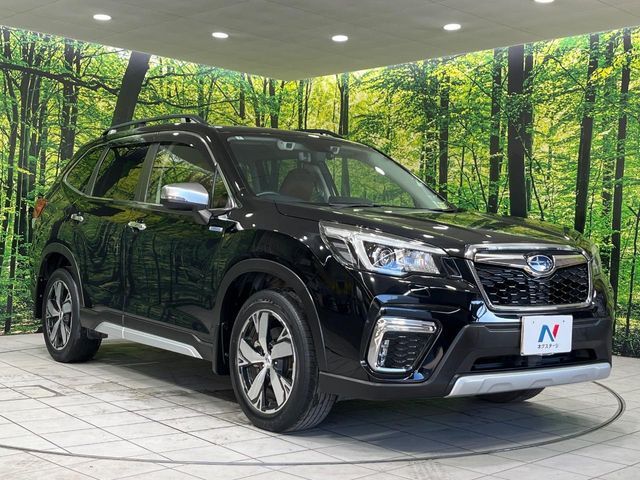 FORESTER