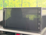 RAIZE HYBRID