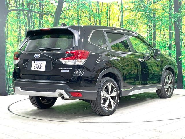 FORESTER