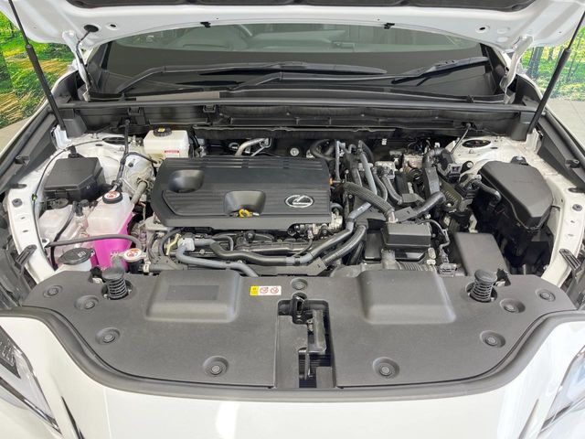 LEXUS NX350h
