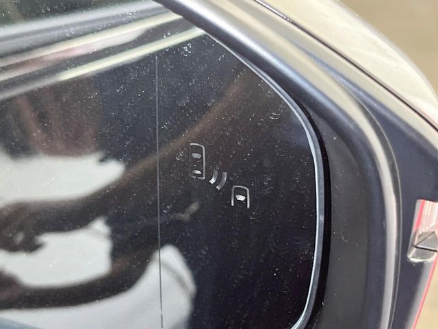 CROWN SPORT