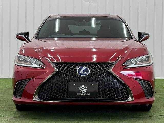LEXUS ES300h