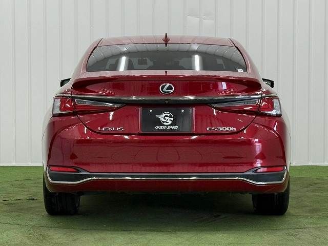 LEXUS ES300h