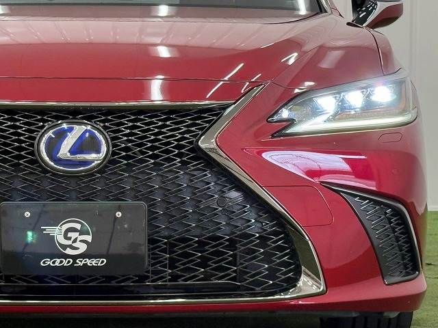 LEXUS ES300h