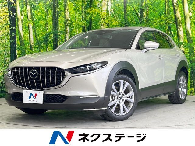 CX-30
