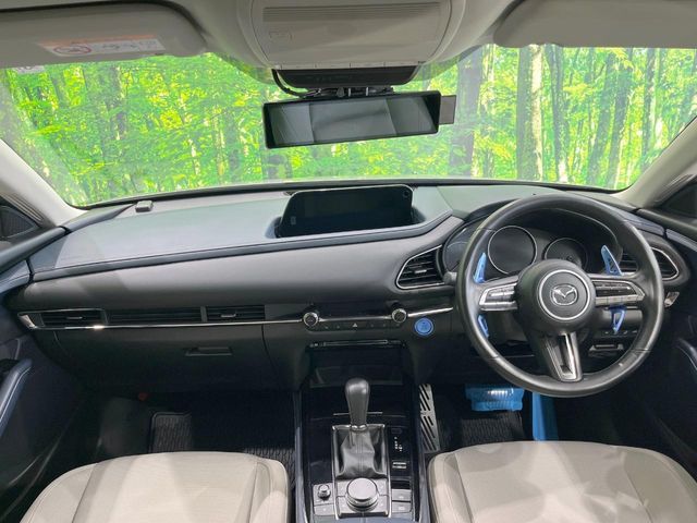 CX-30