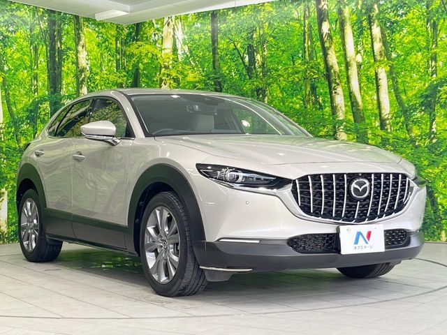 CX-30