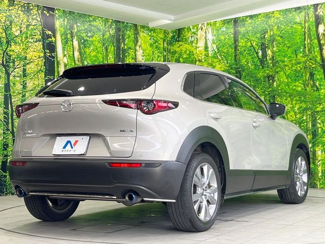CX-30