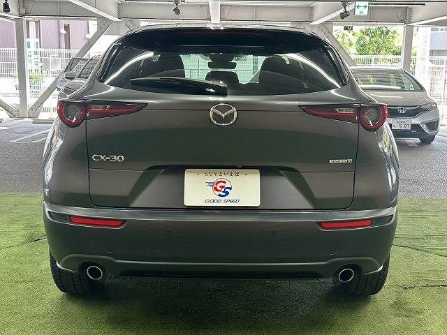 CX-30