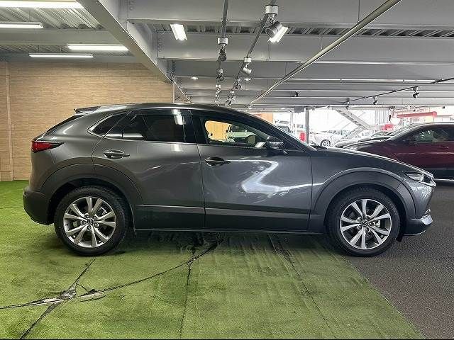 CX-30