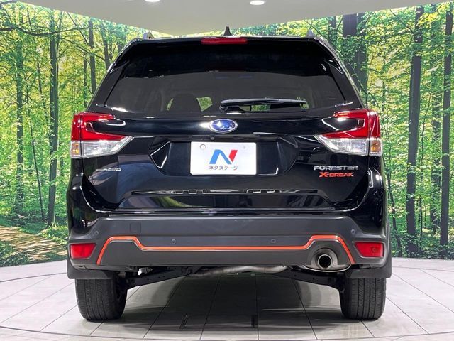 FORESTER