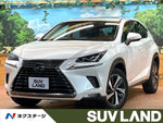 LEXUS NX300