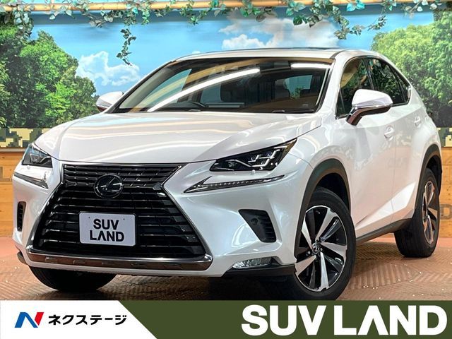LEXUS NX300