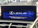 LEXUS NX300