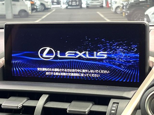 LEXUS NX300