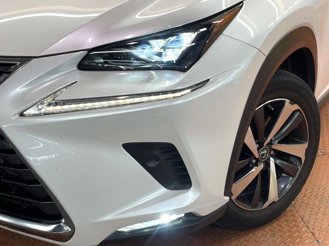 LEXUS NX300