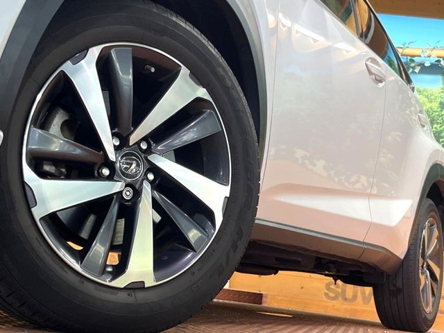 LEXUS NX300