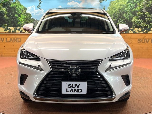 LEXUS NX300
