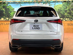 LEXUS NX300
