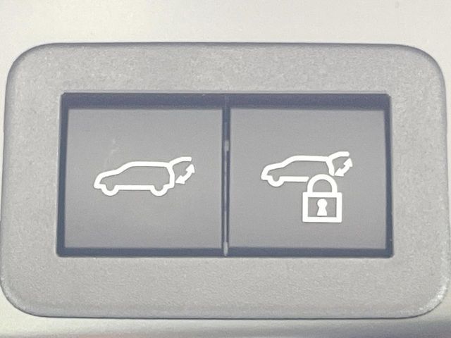 RAV4 HYBRID 4WD
