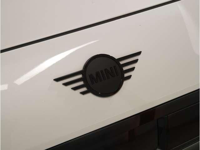 MINI ACEMAN