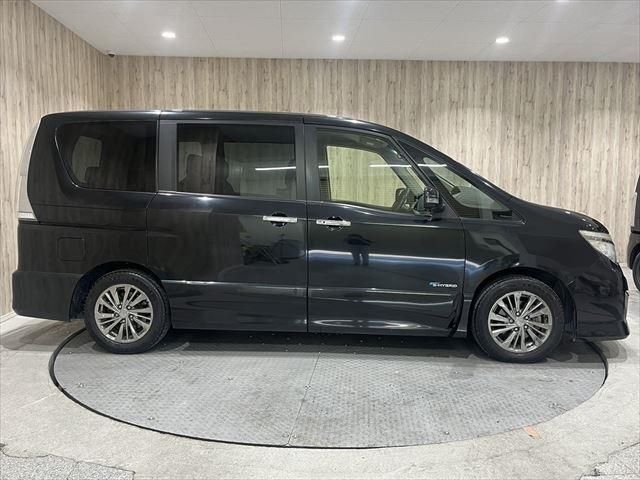 SERENA  S-HYBRID