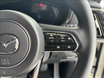 CX-80