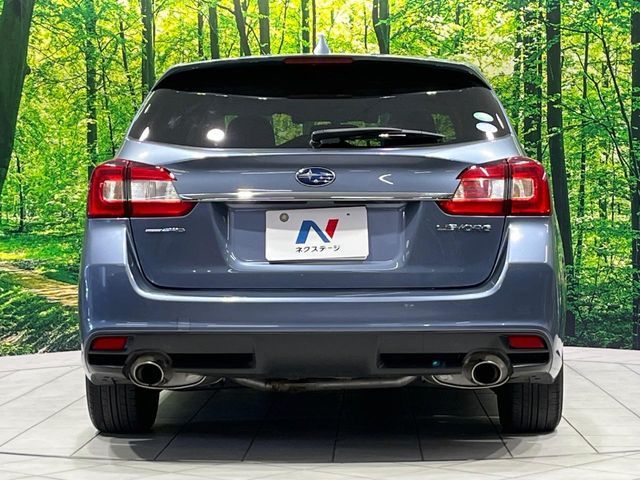 LEVORG