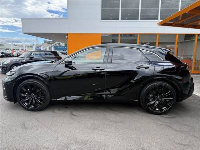 CROWN SPORT