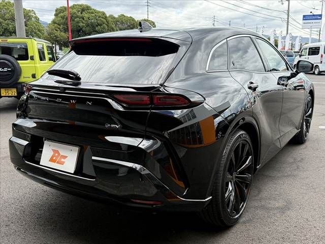 CROWN SPORT
