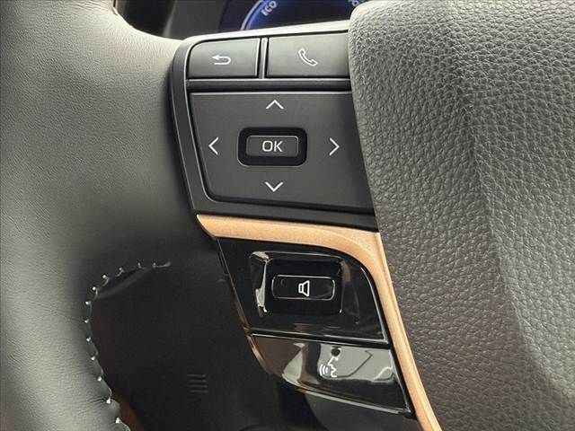 CROWN SPORT