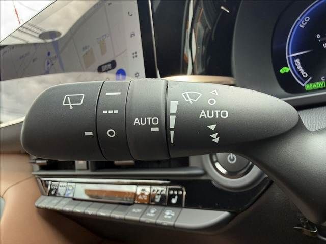 CROWN SPORT