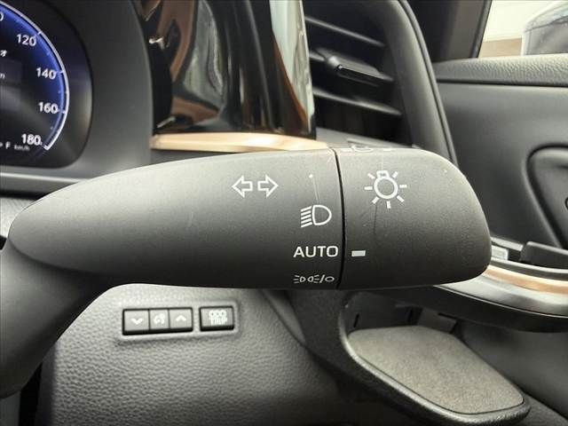 CROWN SPORT